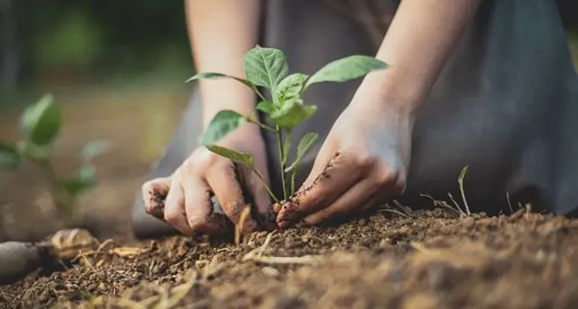 Best Mutual Funds in India in 2025 | Top Performing Mutual Funds in India